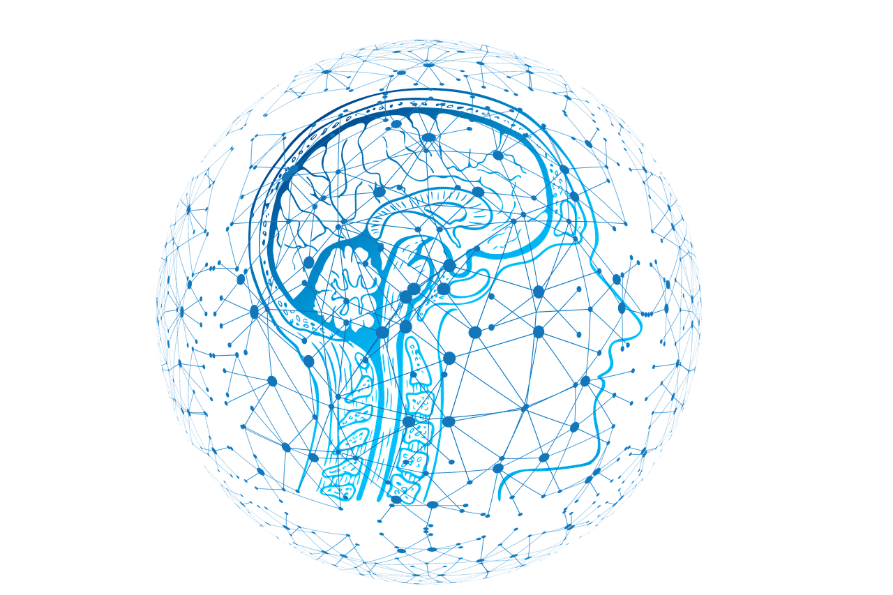 brain1
