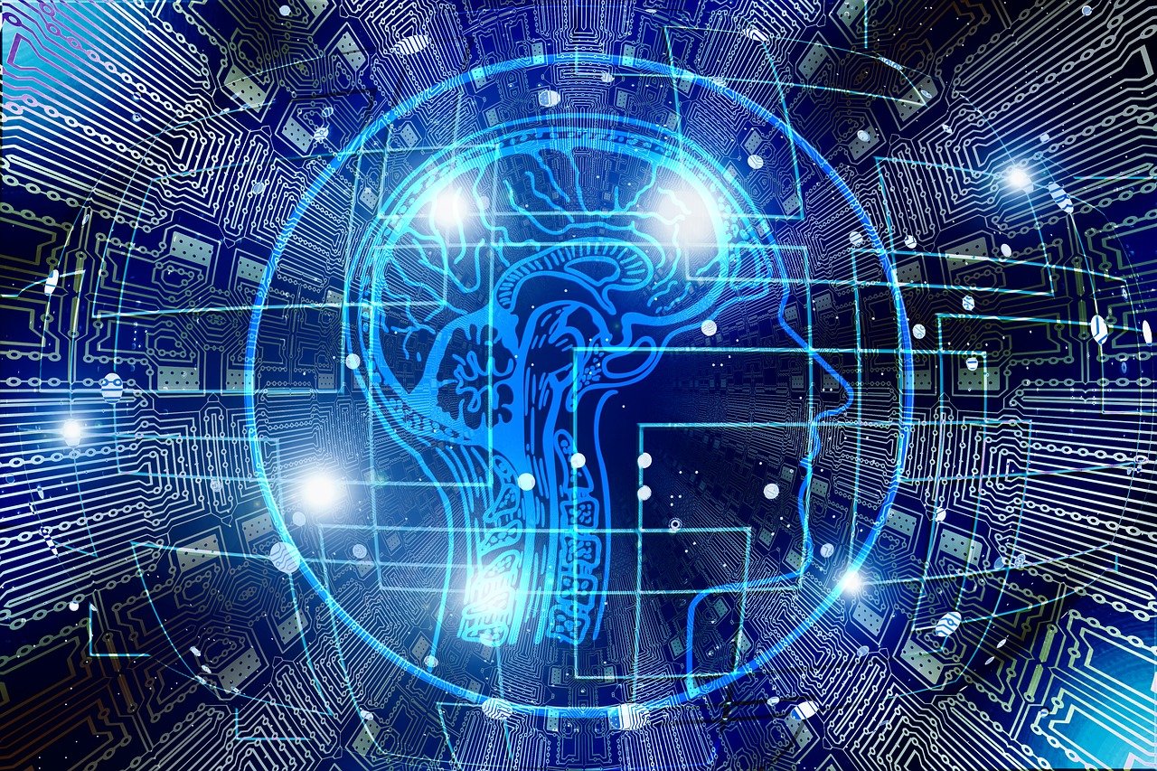 brain2