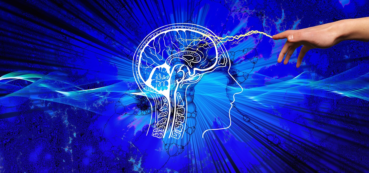 brain3