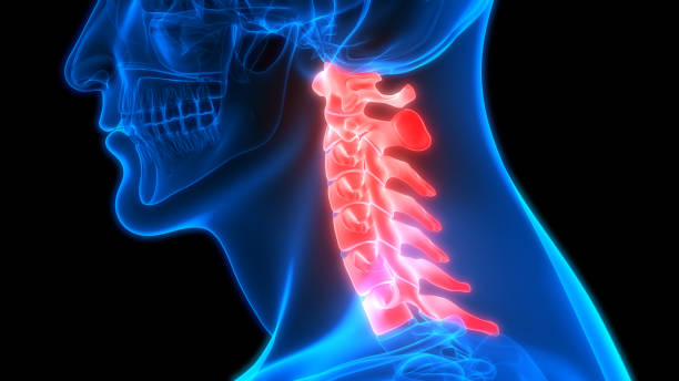cervicalspine